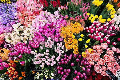 11年测试终于完结《七日杀》官方宣布6月推出正式版