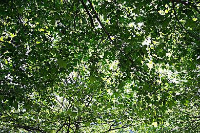 经典视觉小说《Kanon》Switch版将添加中文支持 12月5日上线